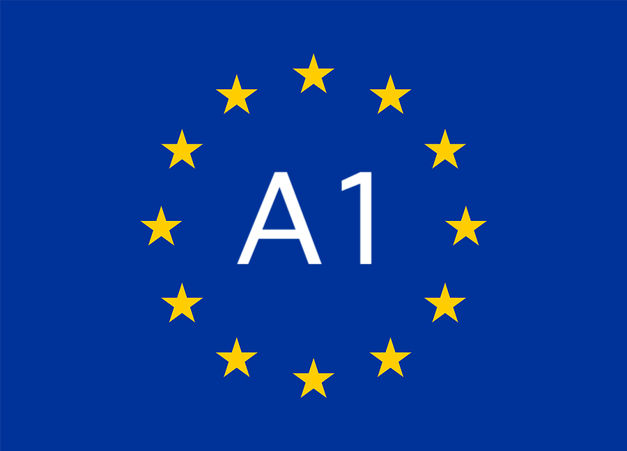 Intensive German A1 Course (Deutsch–English) 6 Weeks | 20 Hours per Week | TELC A1 & CEFR (GER) Aligned Total Duration: 120 Hours - Overview