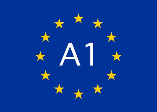 Intensive German A1 Course (Deutsch–English) 6 Weeks | 20 Hours per Week | TELC A1 & CEFR (GER) Aligned Total Duration: 120 Hours - Overview